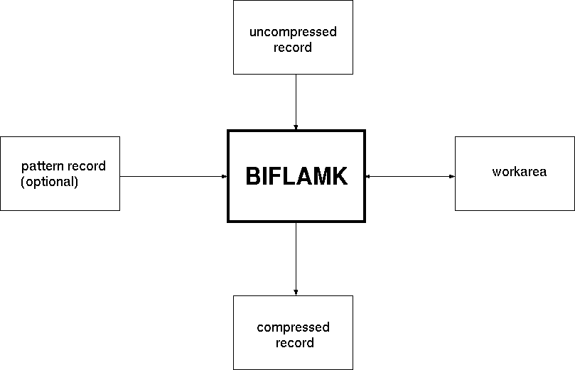 BIFLAM compression